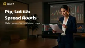 Pip, Lot และ Spread คืออะไร และคำนวณอย่างไรในการเทรด Forex