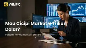 Mau Cicipi Market 6 Triliun Dolar? Pahami Fundamental Forex Ini Biar Modal Nggak Ludes