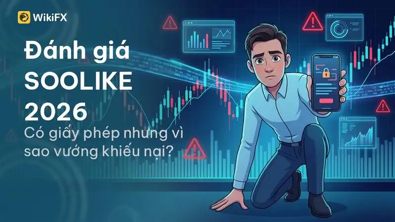 Đánh giá SOOLIKE 2026: Có giấy phép nhưng vì sao liên tục vướng khiếu nại giam tiền người dùng?