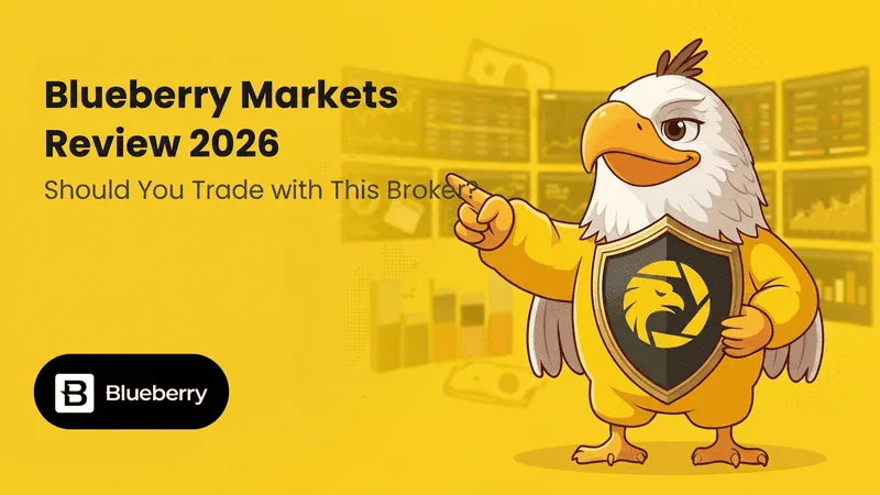 blueberry markets (1).png blueberry markets (1).png