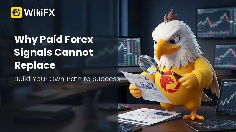 Why Paid Forex Signals Cannot Replace a Personal Trading System