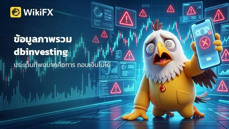 ข้อมูลภาพรวม dbinvesting และรายละเอียดที่ผู้เทรดควรทราบ