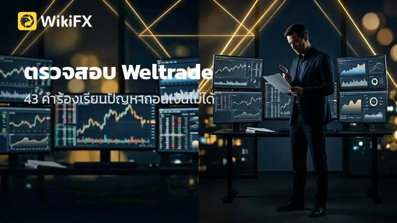 ตรวจสอบ Weltrade: รายงาน 43 คำร้องเรียน ปัญหา ถอนเงินไม่ได้ และความผิดปกติเรื่องสเปรดบนแพลตฟอร์ม