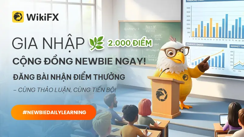 Hiệu triệu tân thủ | Đăng bài nhận điểm - Cùng học, cùng chat!