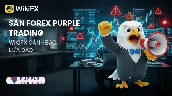 Sàn Forex PURPLE TRADING lừa đảo: Vỏ bọc CySEC và bằng chứng không thể chối cãi - WikiFX cảnh báo