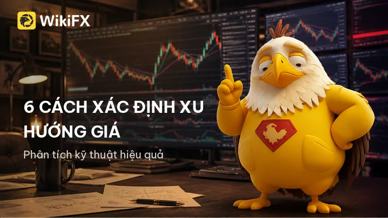 800x450.png 800x450.png