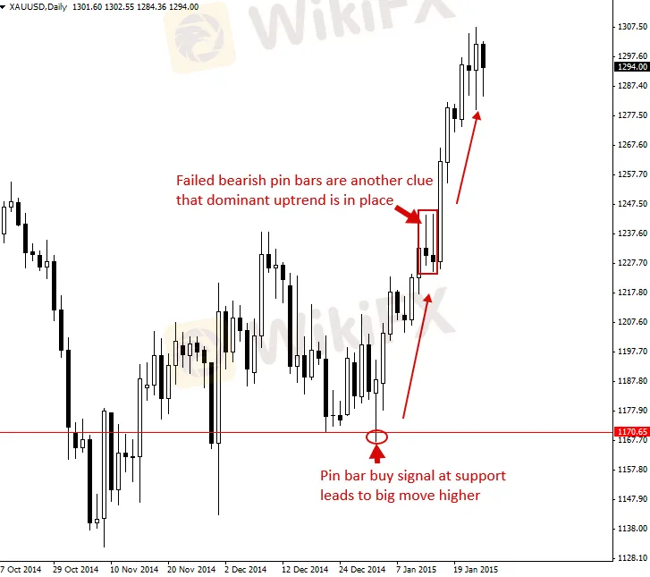 chart-4.png