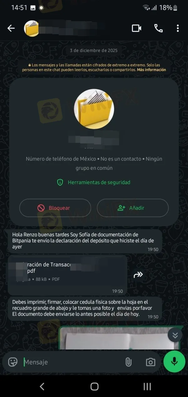 BitPania estafa