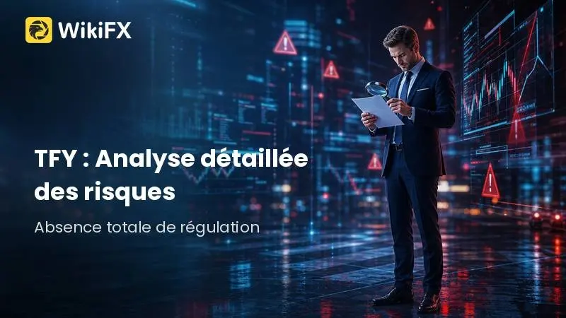 Évaluation en 2026 de TFY : Analyse détaillée des risques pour les débutants