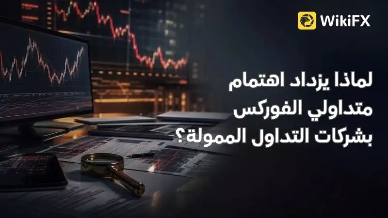لماذا يزداد اهتمام متداولي الفوركس بشركات التداول الممولة؟