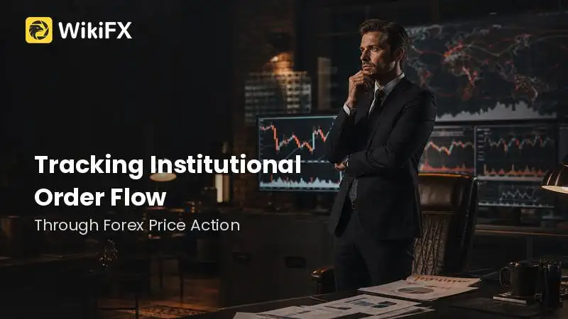 Tracking Institutional Order Flow Through Forex Price Action