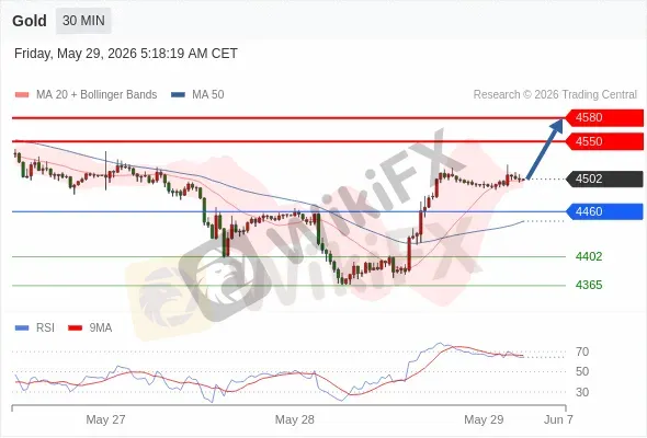 Analyst Views Chart