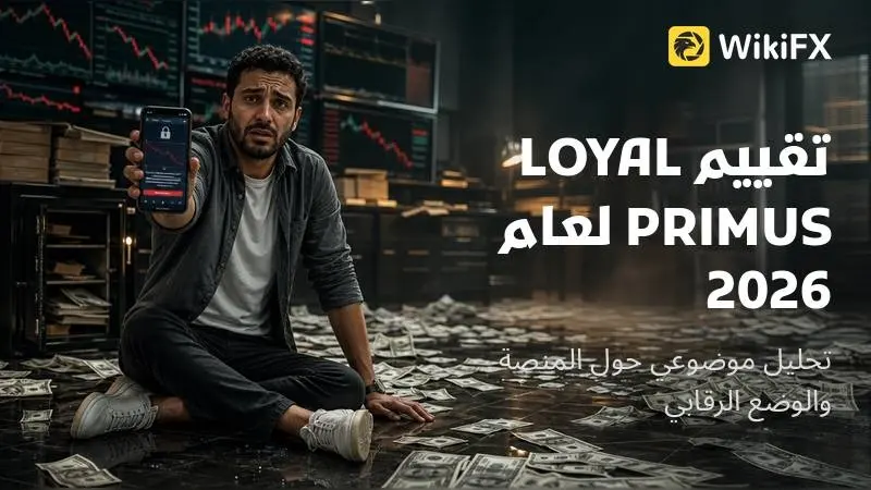 تقييم LOYAL PRIMUS لعام 2026: تحليل موضوعي حول المنصة والوضع الرقابي