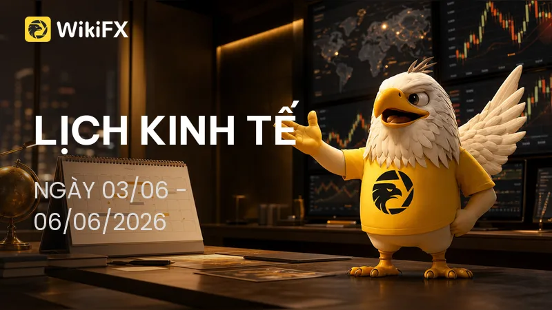 800x450.png 800x450.png