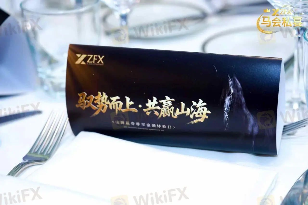 zfx-2.jpg