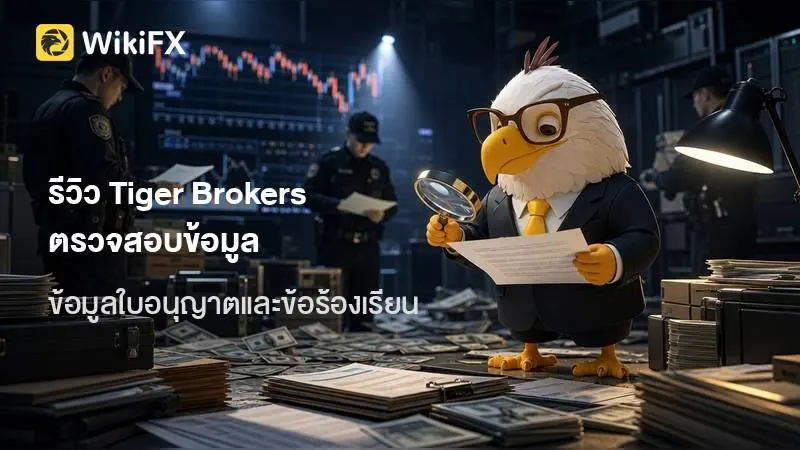 รีวิว Tiger Brokers ตรวจสอบข้อมูลใบอนุญาต แพลตฟอร์มการเทรด และข้อร้องเรียน
