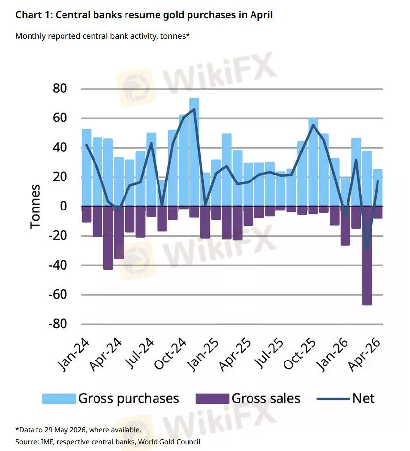 chart-10.jpg