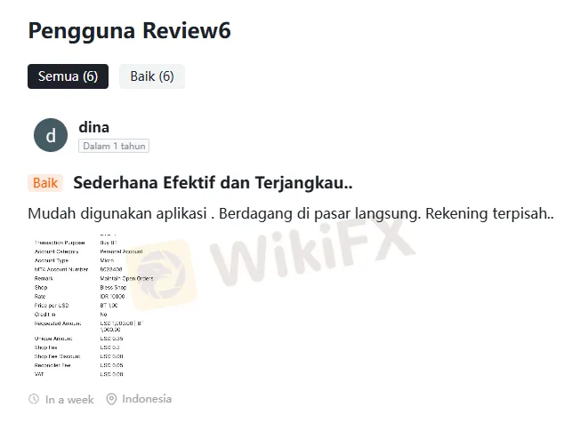 komentar-pengguna-indonesia-ini-seperti-buzzer.png