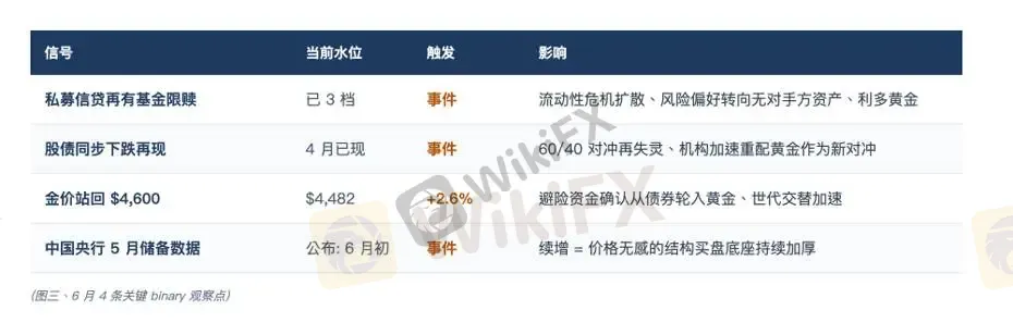 (图三、6 月 4 条关键 binary 观察点)