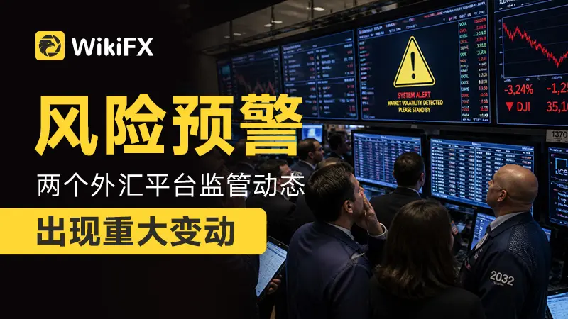 风险预警|两家外汇（贵金属）投资平台出现重大监管隐患