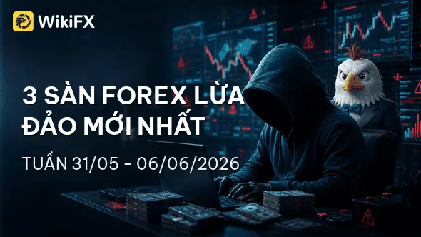 Điểm danh 3 sàn Forex lừa đảo mới nhất tuần 31/05-06/06/2026 - WikiFX cảnh báo