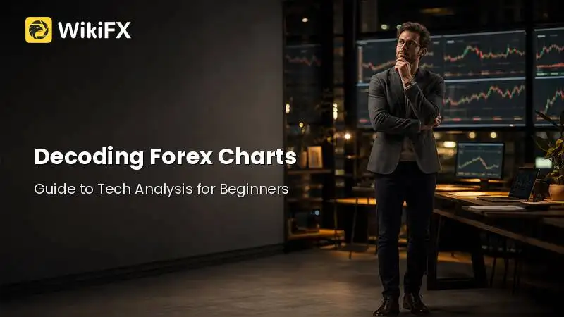 Decoding Forex Charts: How Beginners Can Use Trends, Patterns, and Indicators