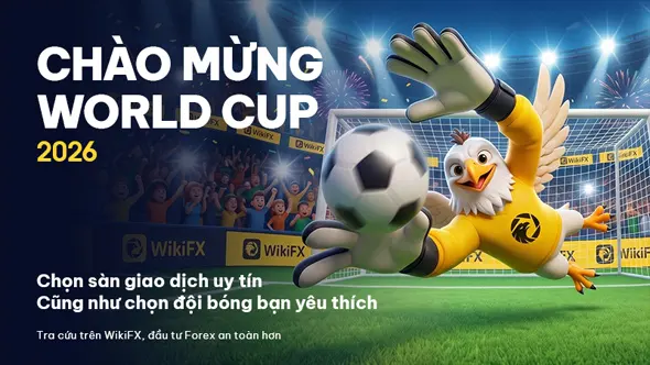 Cơn sốt World Cup đã đến! Hiểu cách ra quyết định trong thế giới đầy biến động