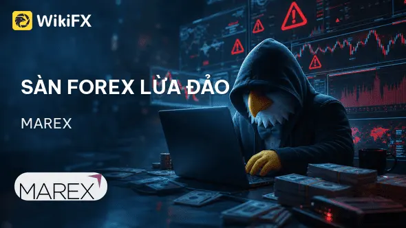 Sàn Forex MAREX lừa đảo: Bị tố cáo che giấu gần 1 tỷ USD rủi ro phái sinh - WikiFX cảnh báo