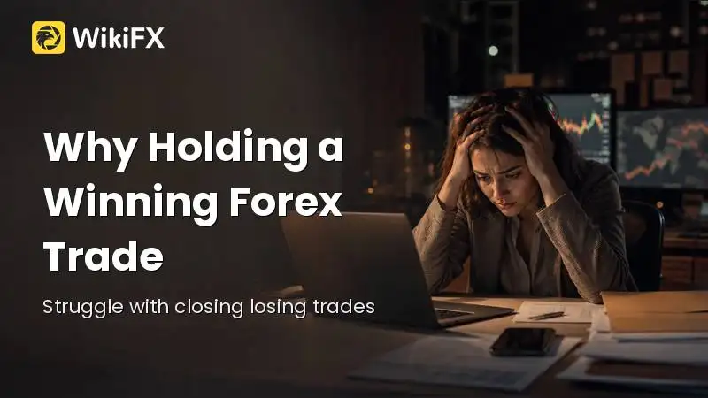 Why Holding a Winning Forex Trade Feels Harder Than Holding a Loss