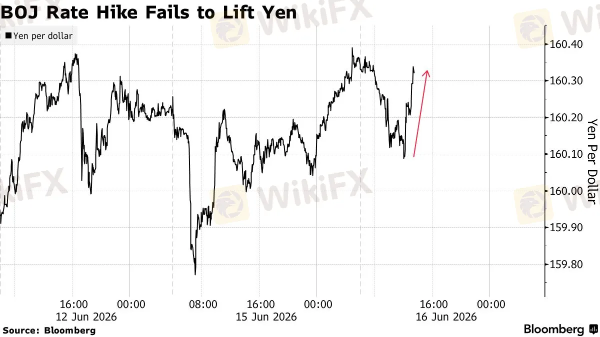 chart-5.png