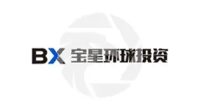 8 Bitnex寶星環球投資安全性解析:監管資訊造假、展業區域不明、遭控無法出金,存在詐騙疑慮