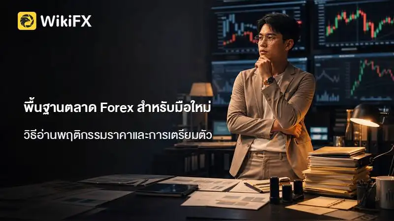 พื้นฐานตลาด Forex วิธีอ่านพฤติกรรมราคาและการเตรียมตัวสำหรับนักเทรดมือใหม่