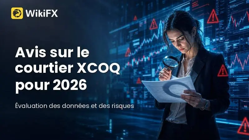 Avis sur le courtier XCOQ pour 2026 : Évaluation des données et analyse des risques