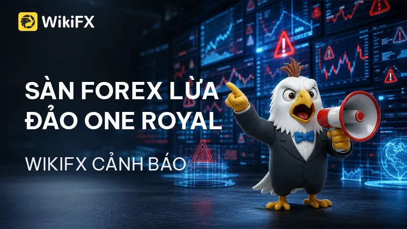 800x450.png