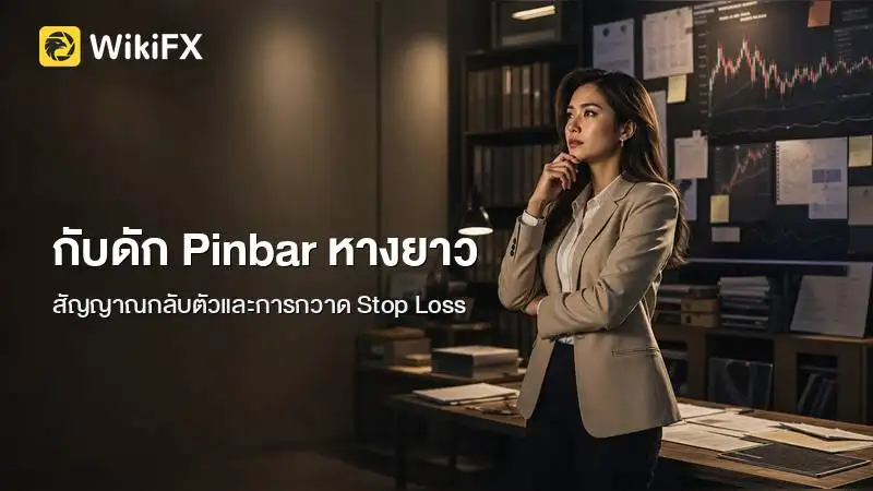 กับดัก Pinbar หางยาว สาเหตุที่สัญญาณกลับตัวกลายเป็นการกวาด Stop Loss