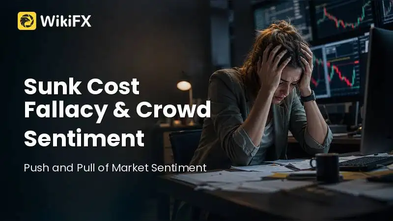 Why the Sunk Cost Fallacy and Crowd Sentiment Trap Beginner Traders