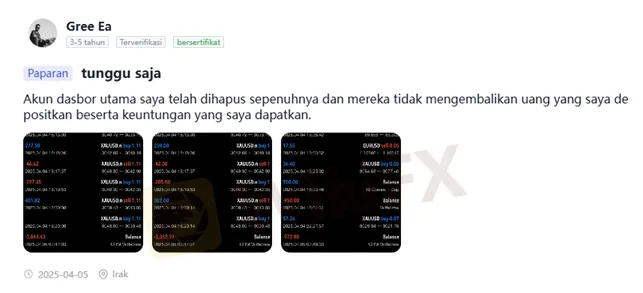 warga-irak-diperdaya-platform-trading-online-bodong.png