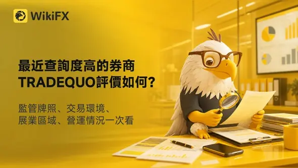 最近查詢度高的券商TRADEQUO評價如何？監管牌照、交易環境、展業區域、營運情況一次看