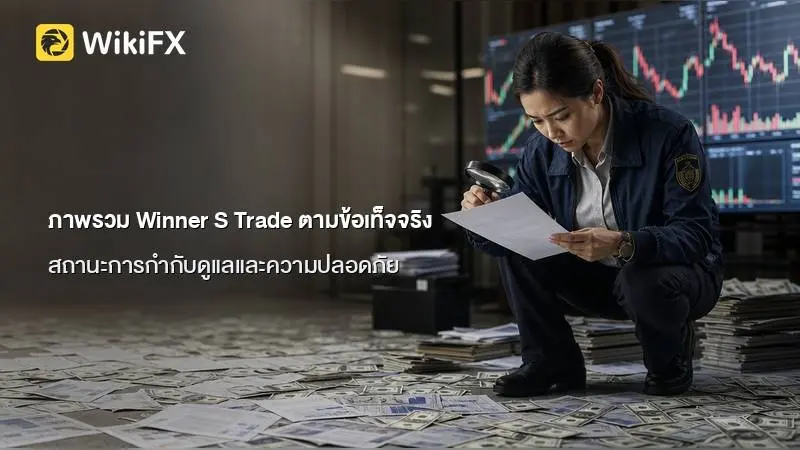 ฐานข้อมูลองค์กรและภาพรวม Winner S Trade ตามข้อเท็จจริง