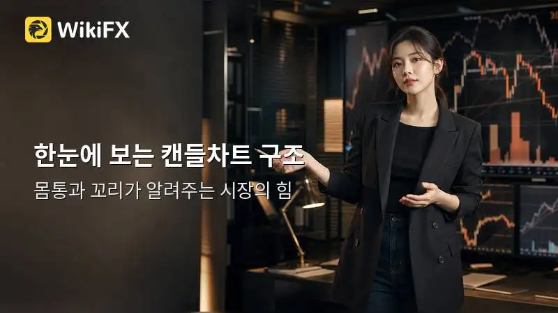 보조지표 없이 캔들만 보는 매매, 몸통과 꼬리부터 읽기