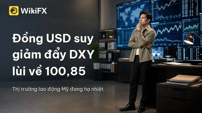 Đồng USD suy giảm mạnh mẽ đẩy chỉ số DXY lùi về mức 100,85 sau dữ liệu việc làm Mỹ