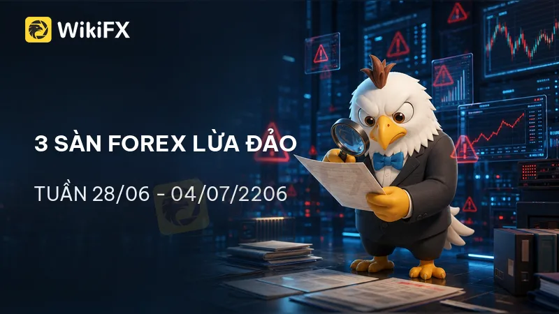 800x450.png