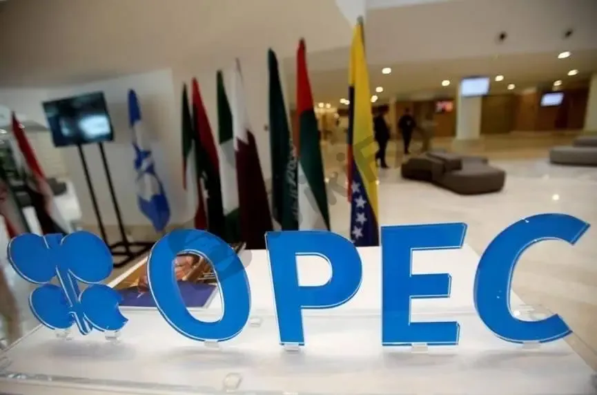 【圖一:OPEC示意圖】