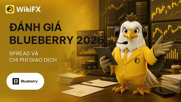 Đánh giá sàn Forex Blueberry Markets 2026: Spread và chi phí giao dịch - WikiFX Review