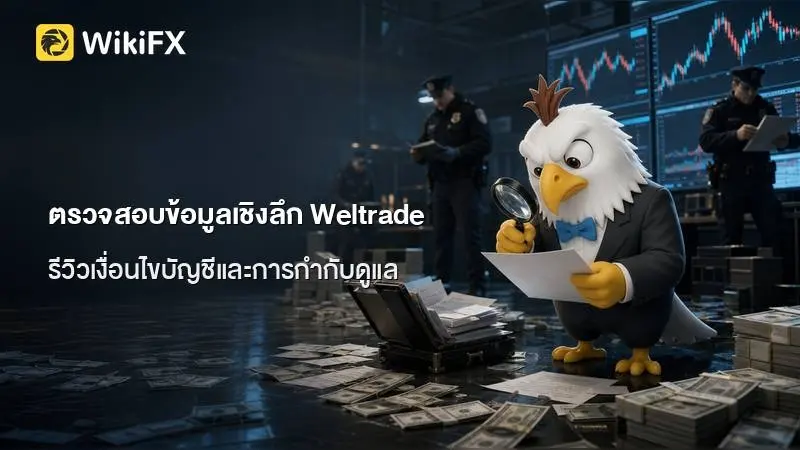 ตรวจสอบข้อมูลเชิงลึก Weltrade รีวิวเงื่อนไขบัญชีและการกำกับดูแล
