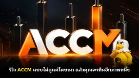 รีวิว ACCM แบบไม่ดูแค่โฆษณา แล้วคุณจะเห็นอีกภาพหนึ่ง