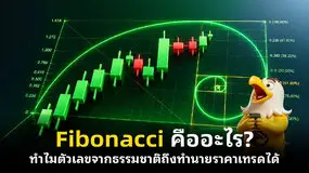 Fibonacci คืออะไร? ทำไมตัวเลขจากธรรมชาติถึงทำนายราคาเทรดได้