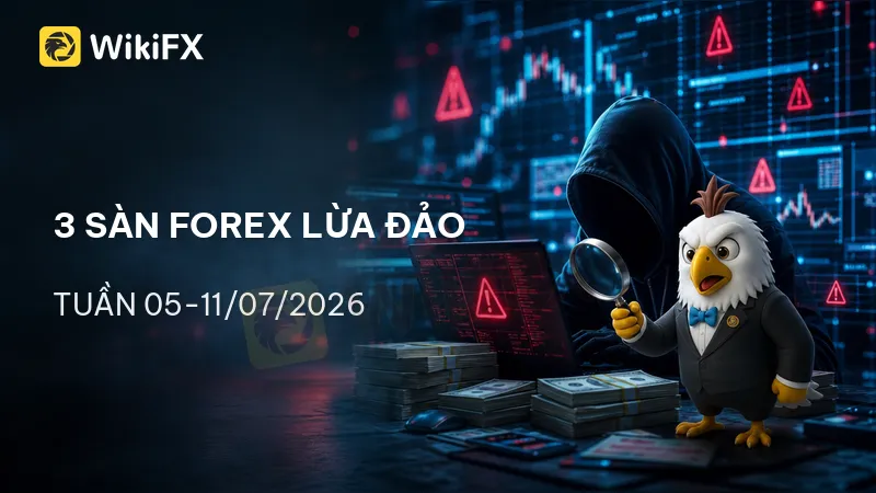 800x450.png