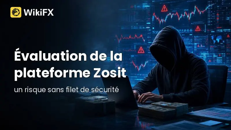 Avis 2026 : Analyse des risques et évaluation de la plateforme Zosit