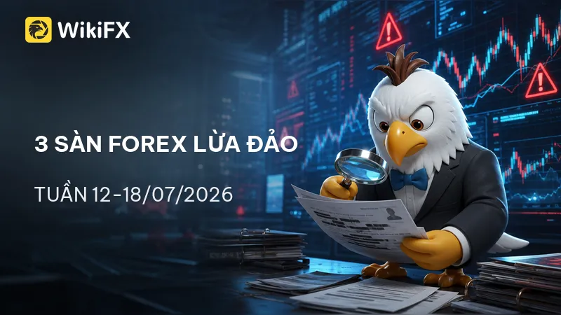 800x450.png